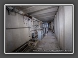 IMG_5371