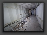 IMG_5392