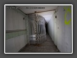 IMG_5397